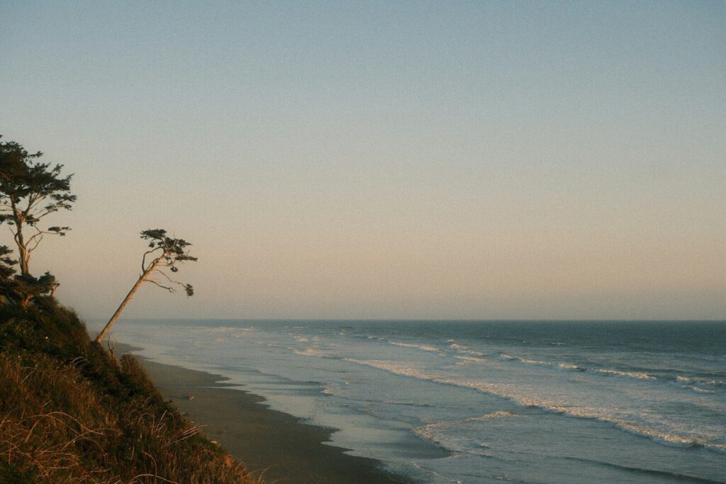 Coastal cliff overlooking a vast ocean with waves.